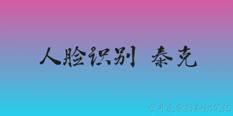 人脸识别 泰克